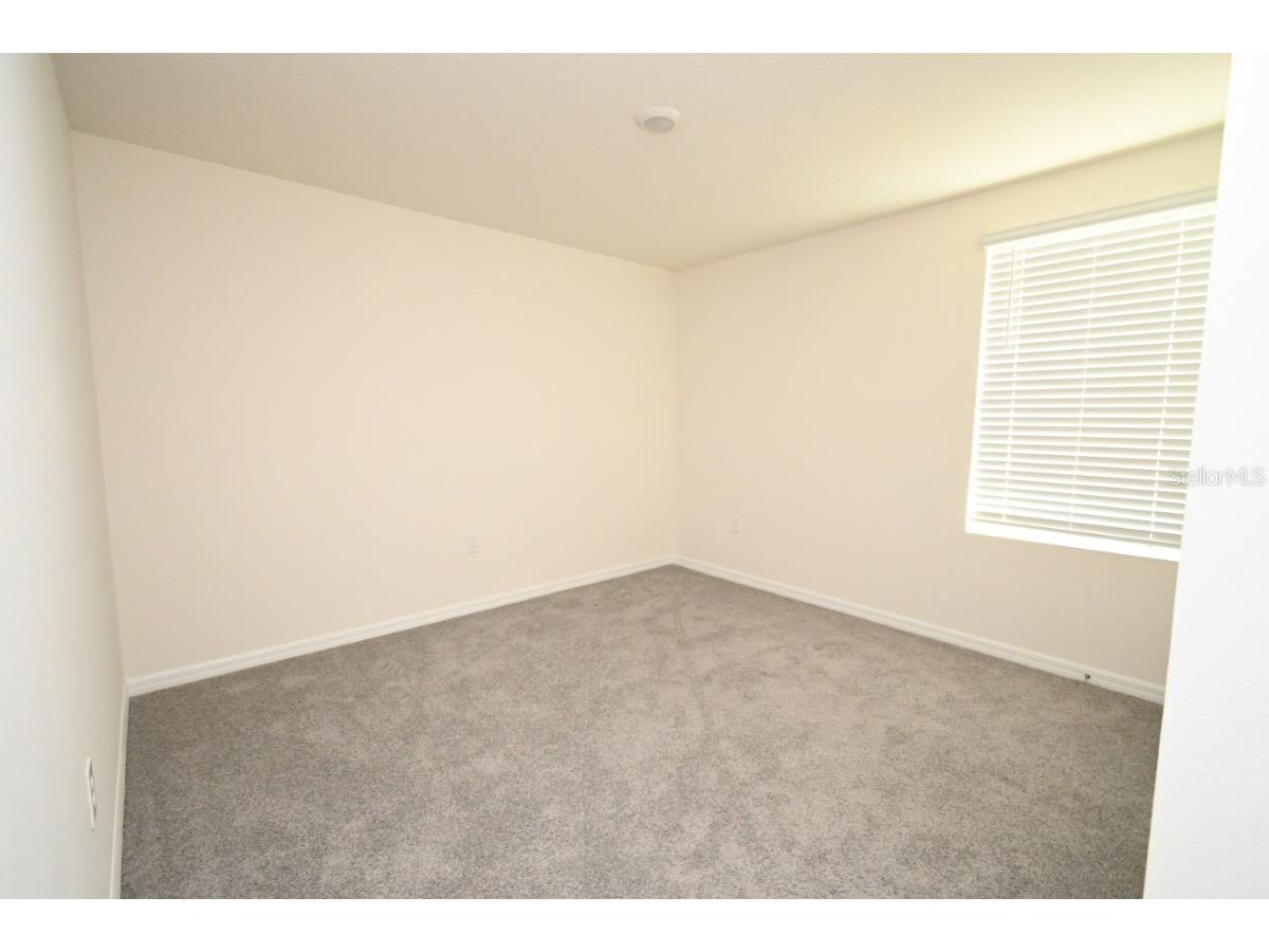 36698 Spanish Rose Drive Dade City FL 33525 TB8494004 image13