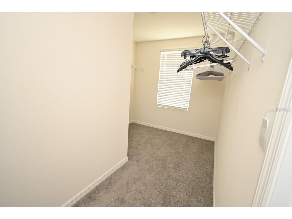 36698 Spanish Rose Drive Dade City FL 33525 TB8494004 image23