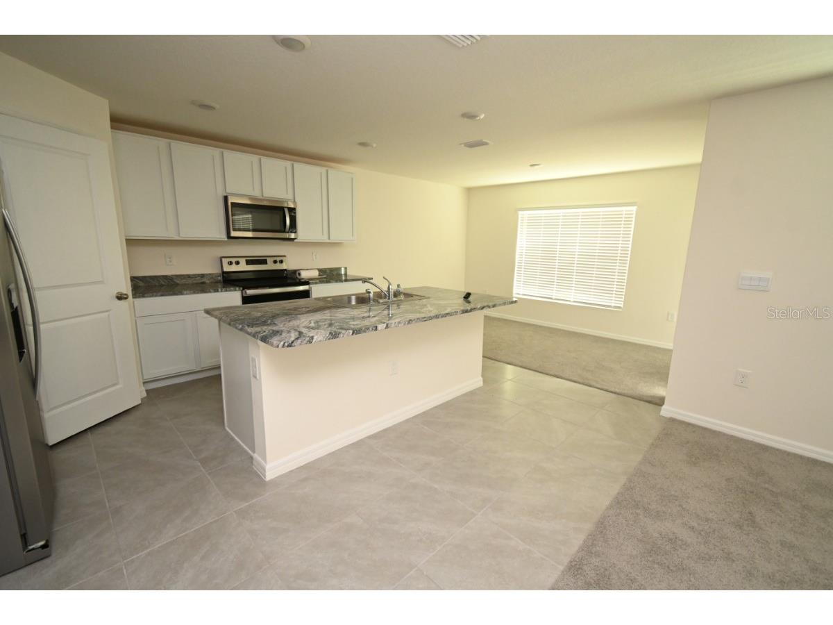 36698 Spanish Rose Drive Dade City FL 33525 TB8494004 image6