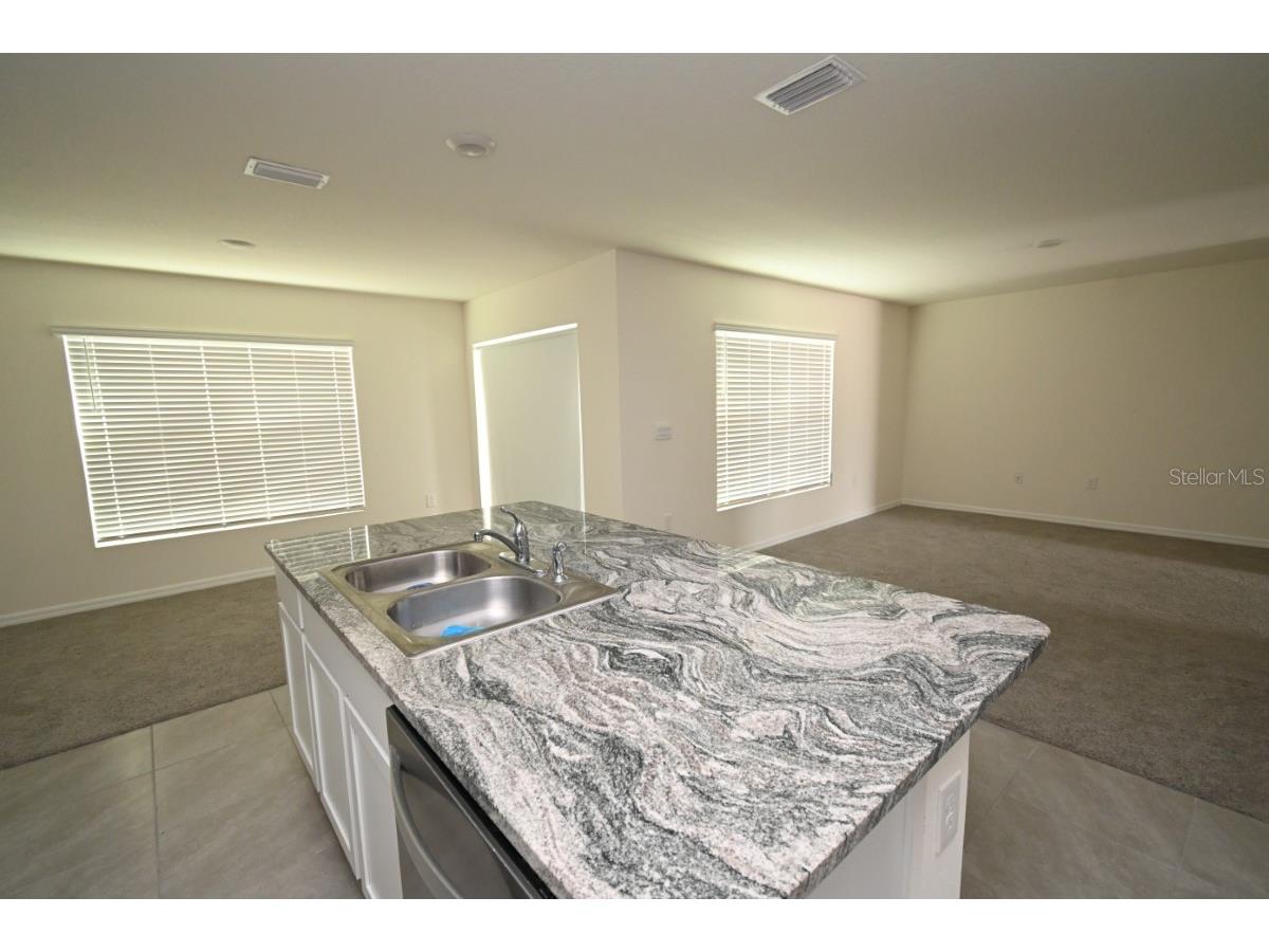 36698 Spanish Rose Drive Dade City FL 33525 TB8494004 image8