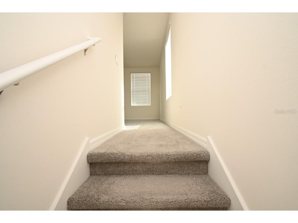 36698 Spanish Rose Drive Dade City FL 33525 TB8494004 image9