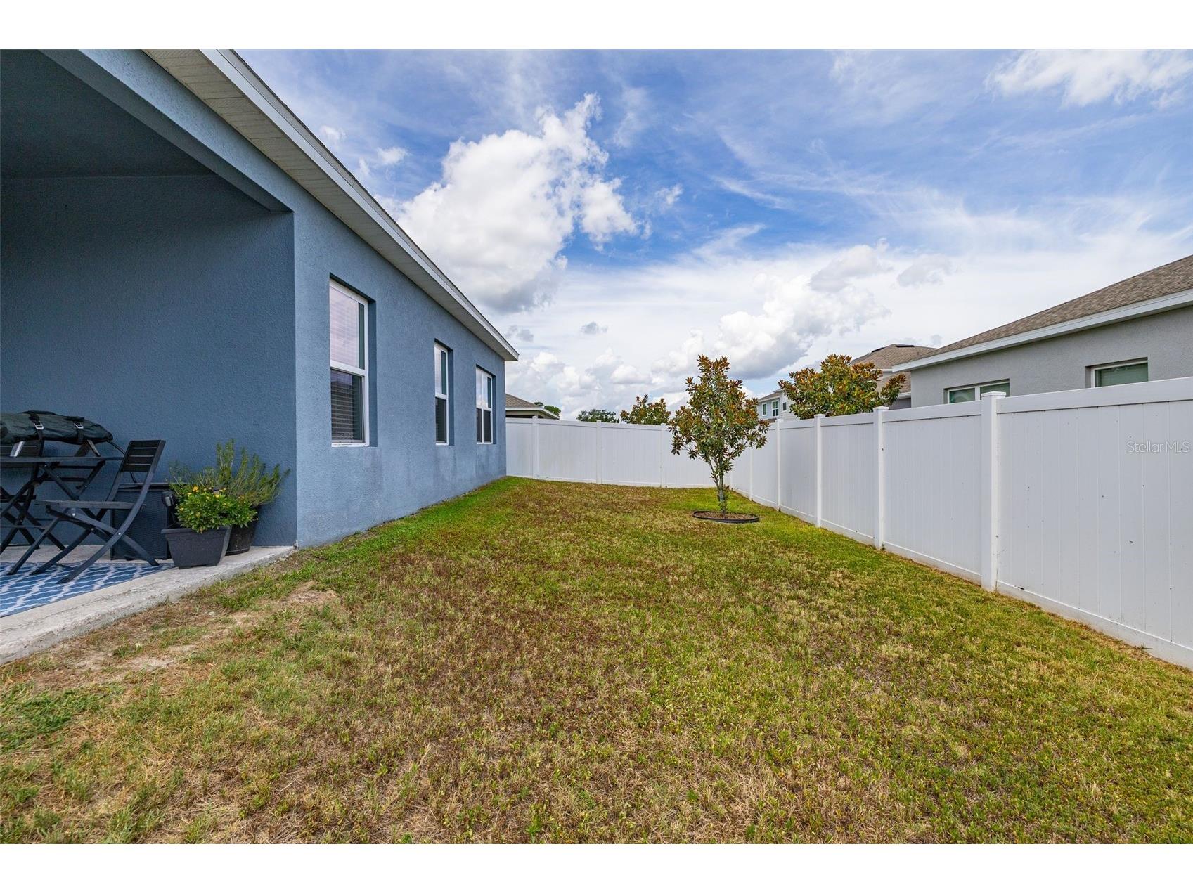 367 August Fern Loop Mount Dora FL 32757 O6419807 image44
