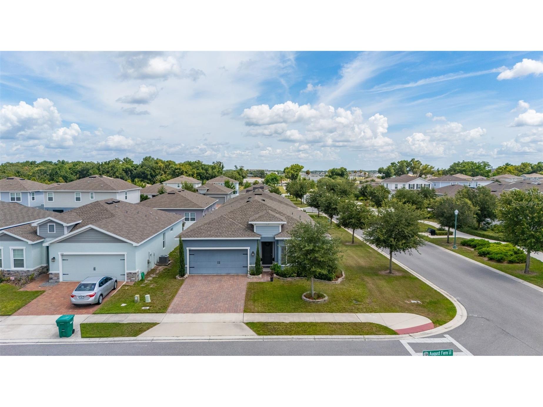 367 August Fern Loop Mount Dora FL 32757 O6419807 image47