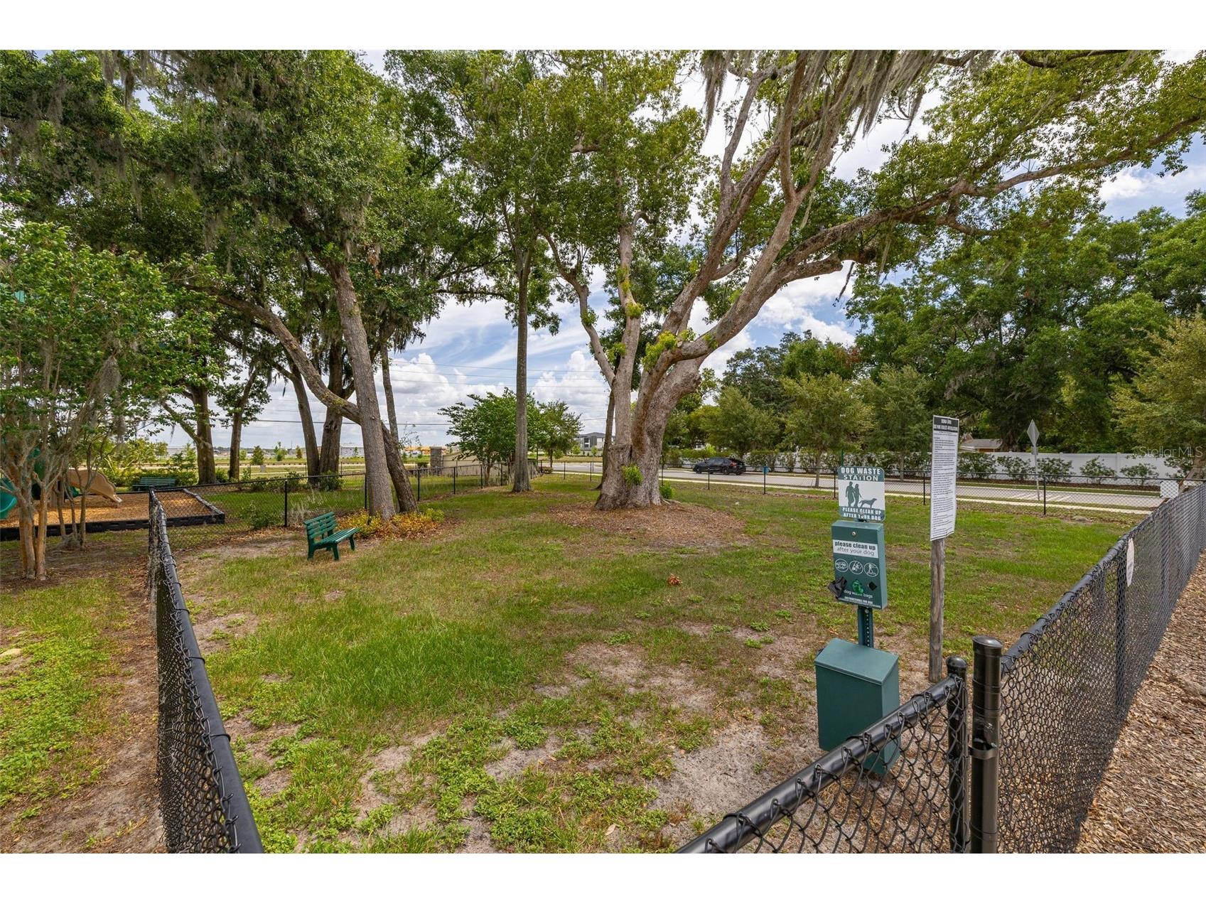 367 August Fern Loop Mount Dora FL 32757 O6419807 image53