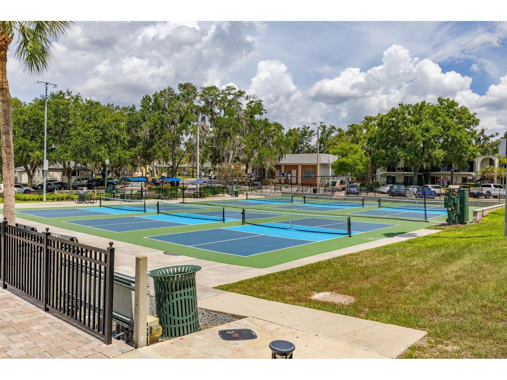 367 August Fern Loop Mount Dora FL 32757 O6419807 image59