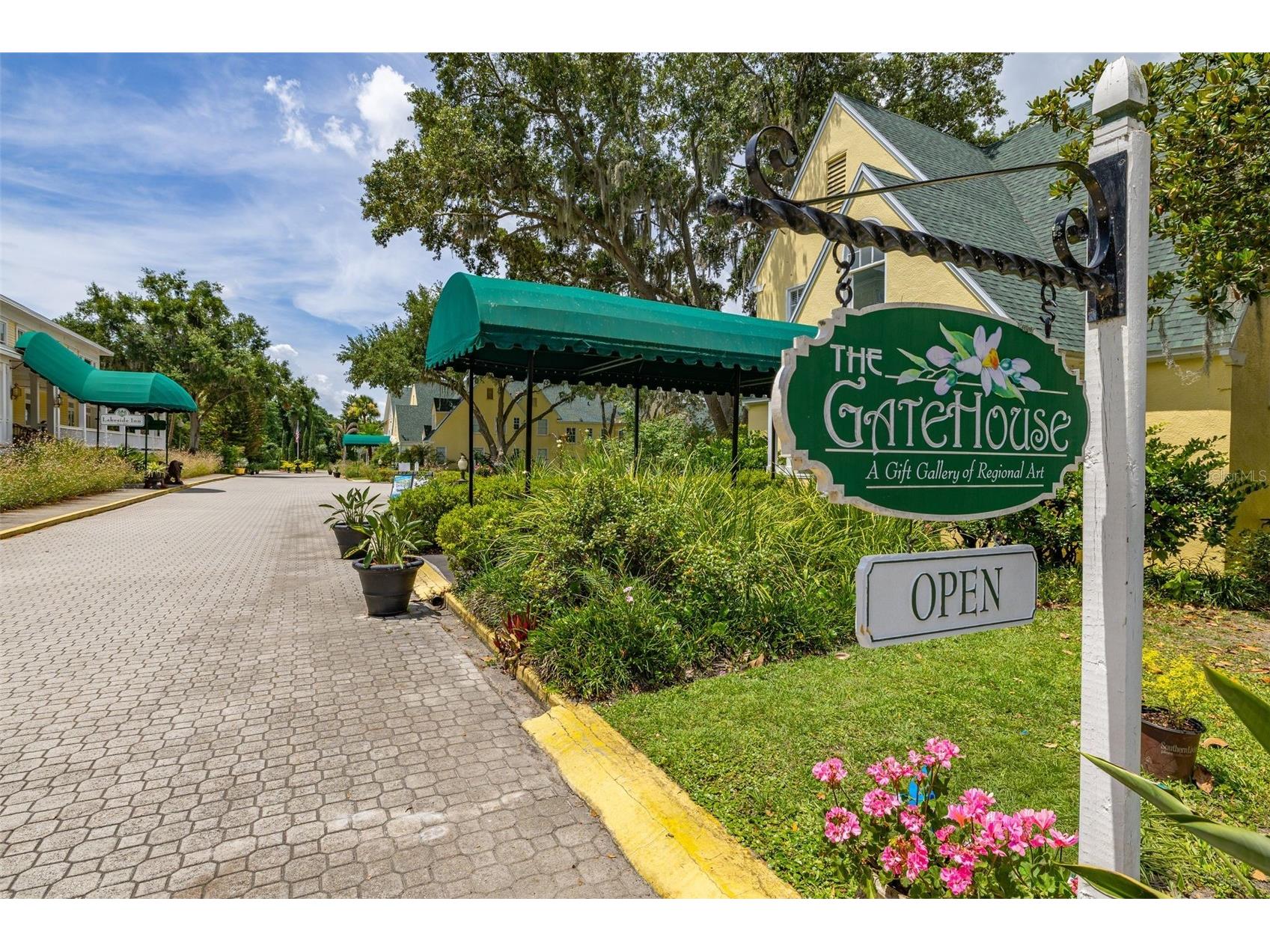 367 August Fern Loop Mount Dora FL 32757 O6419807 image66
