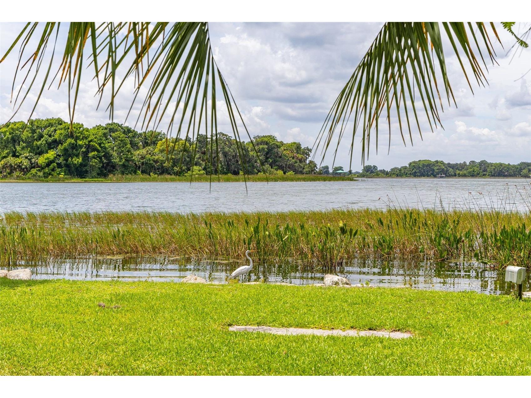 367 August Fern Loop Mount Dora FL 32757 O6419807 image69
