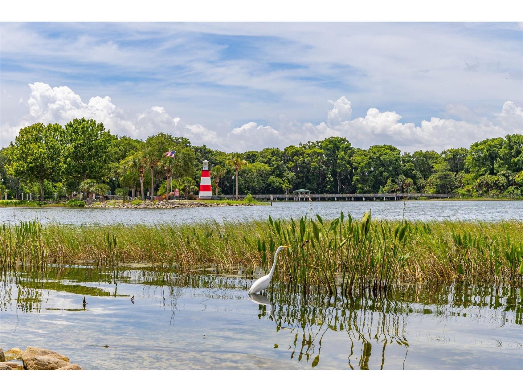 367 August Fern Loop Mount Dora FL 32757 O6419807 image70