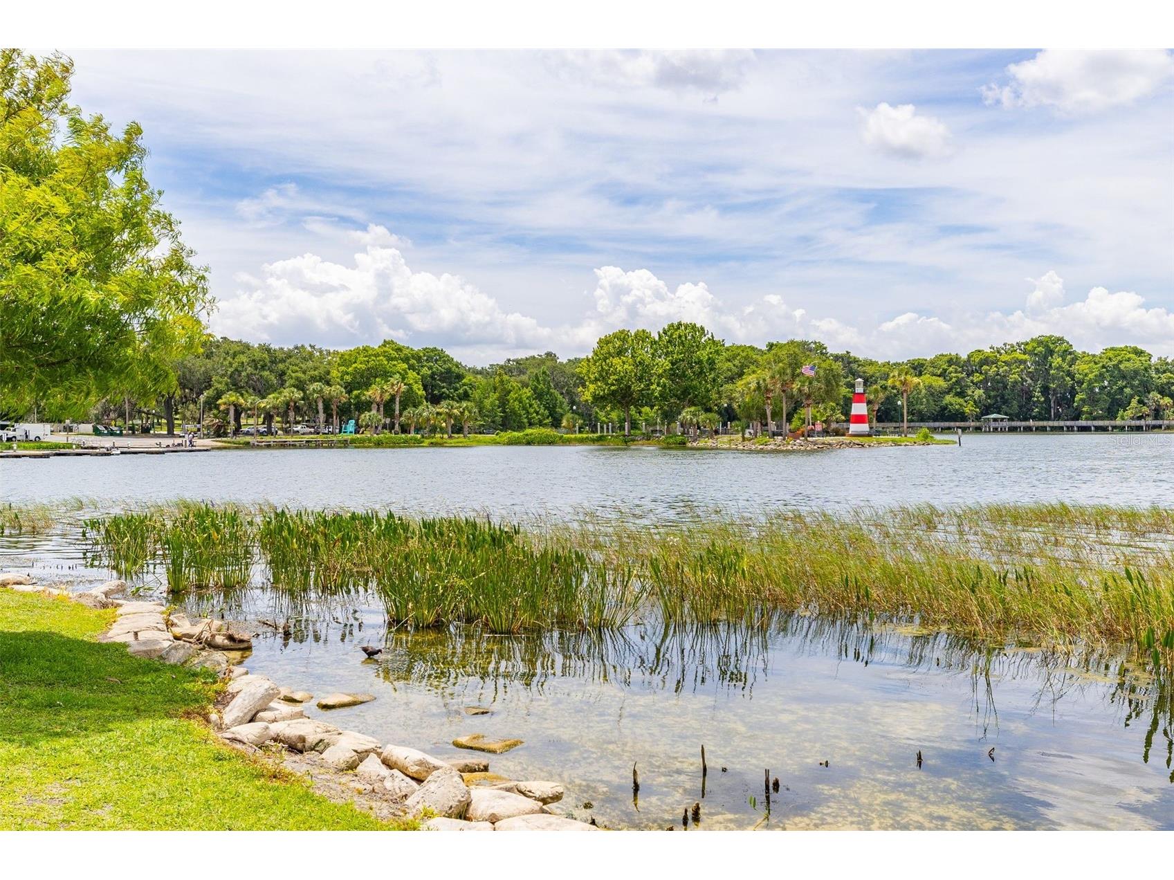 367 August Fern Loop Mount Dora FL 32757 O6419807 image71
