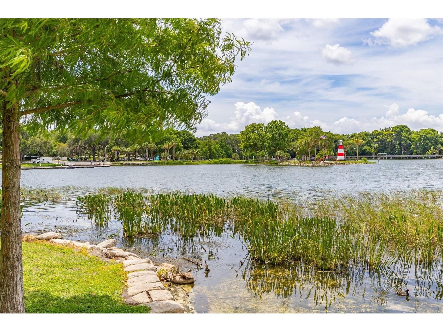 367 August Fern Loop Mount Dora FL 32757 O6419807 image72
