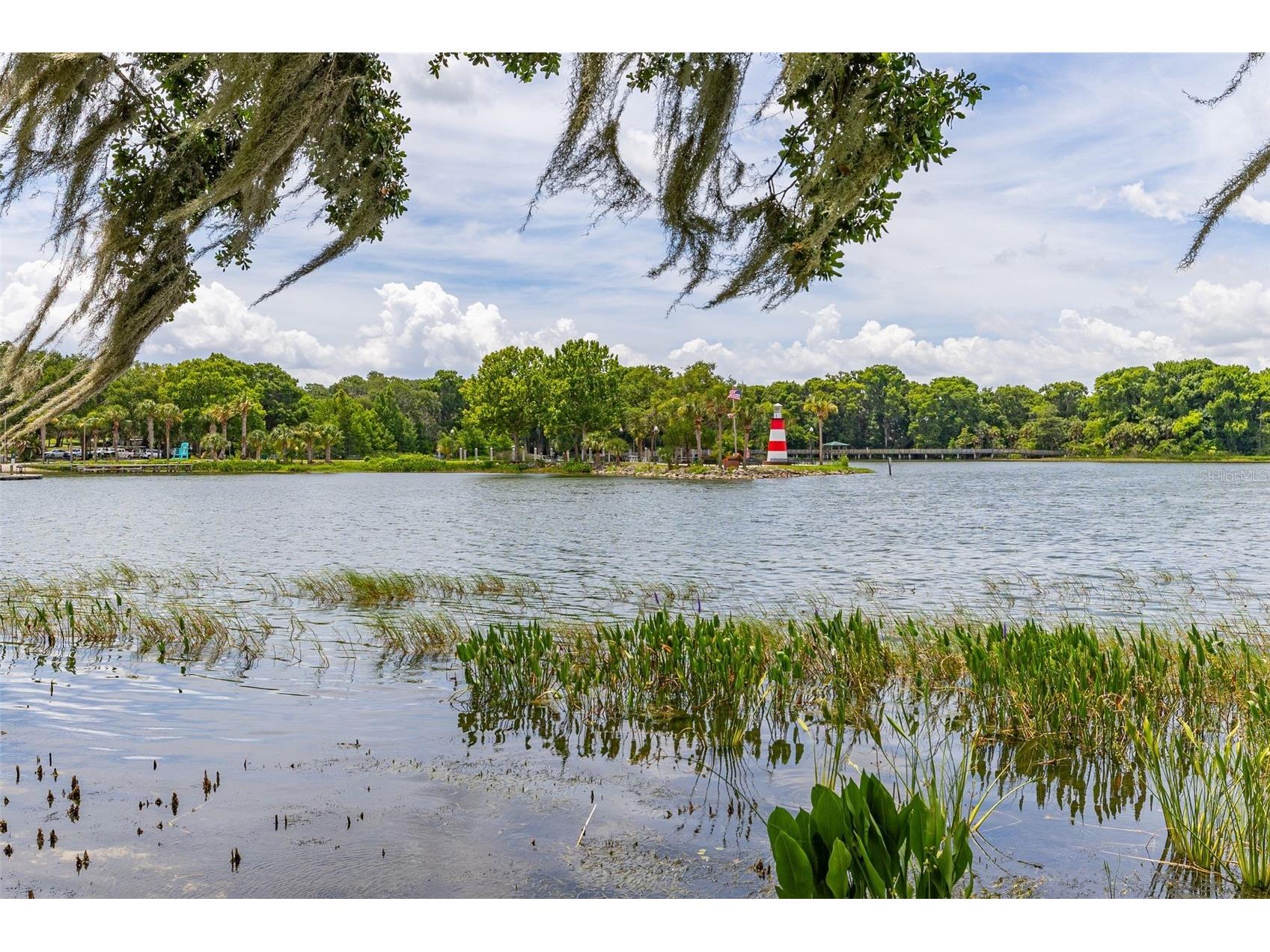 367 August Fern Loop Mount Dora FL 32757 O6419807 image73