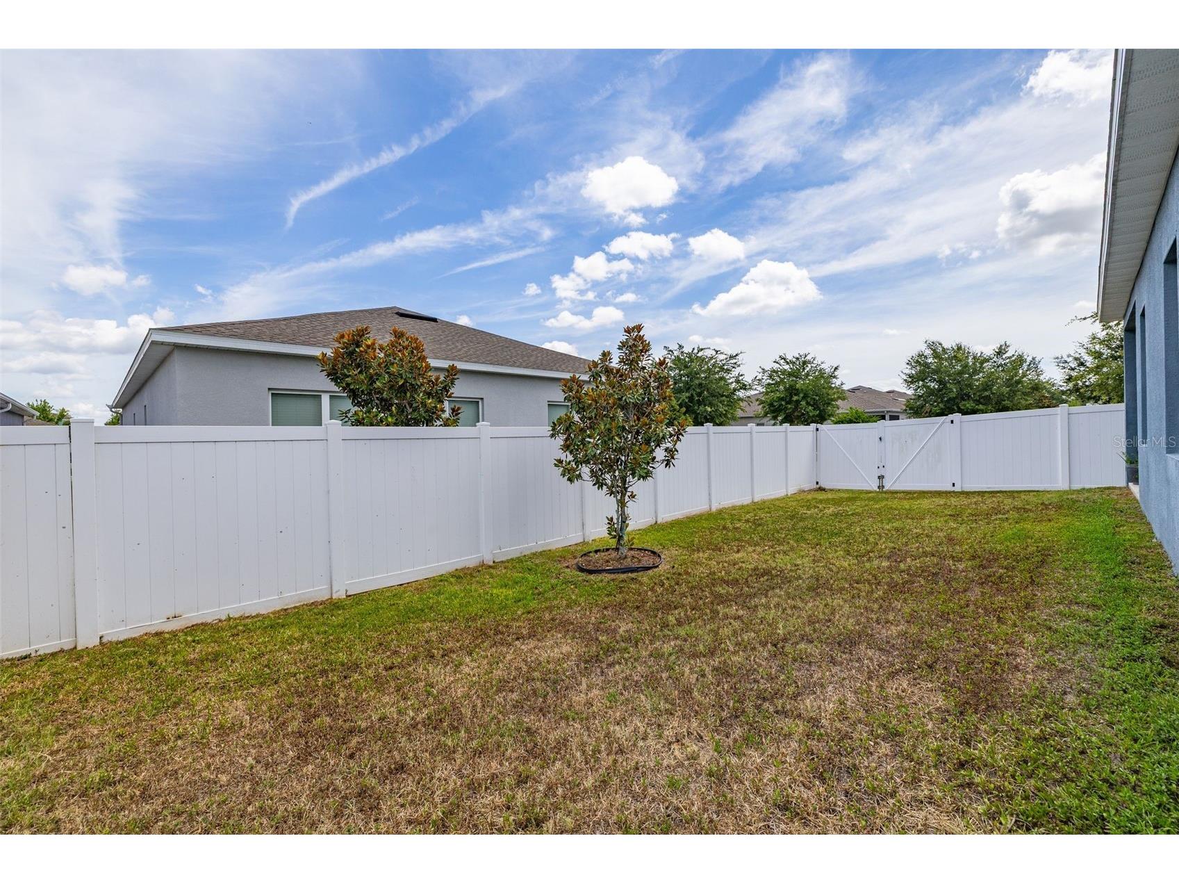 367 August Fern Loop Mount Dora FL 32757 O6419807 image80