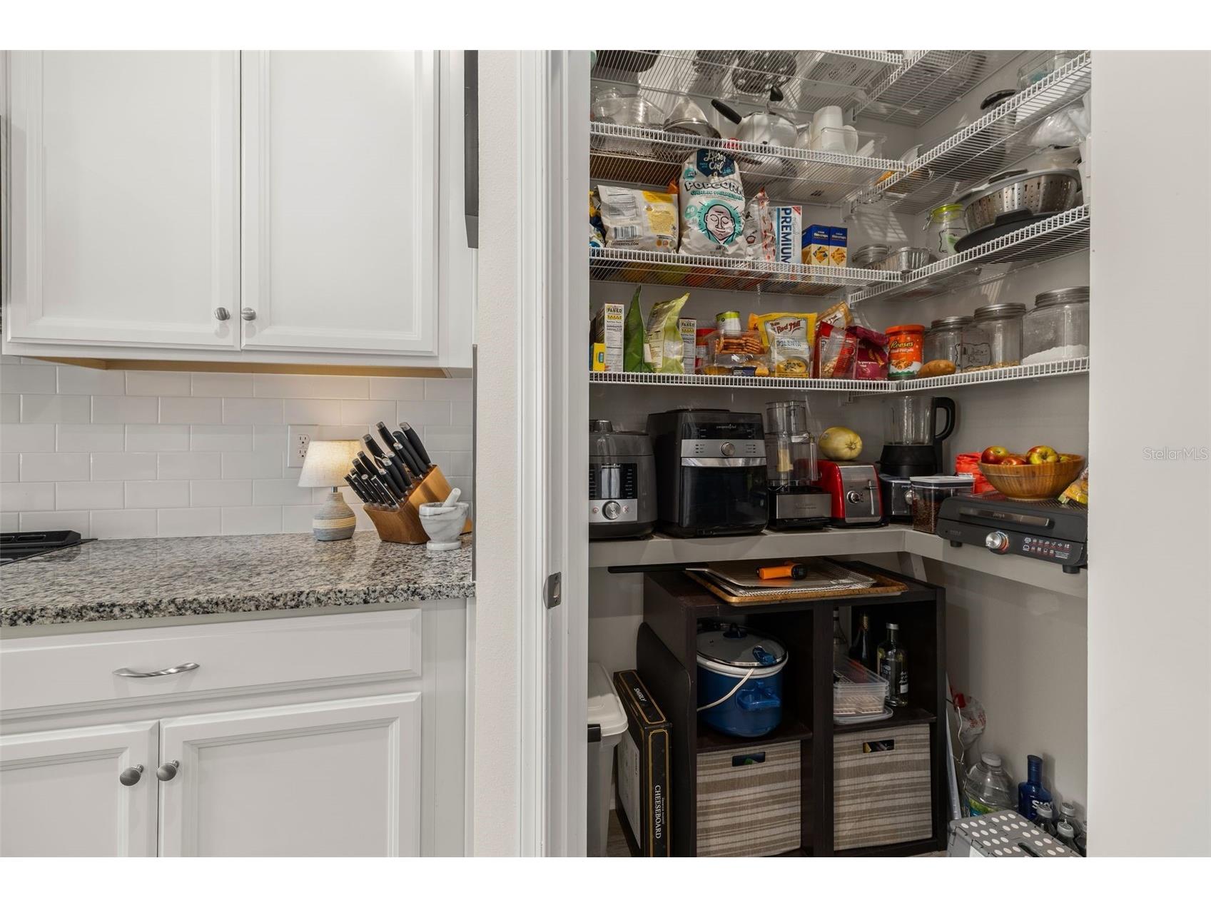 367 August Fern Loop Mount Dora FL 32757 O6419807 image9