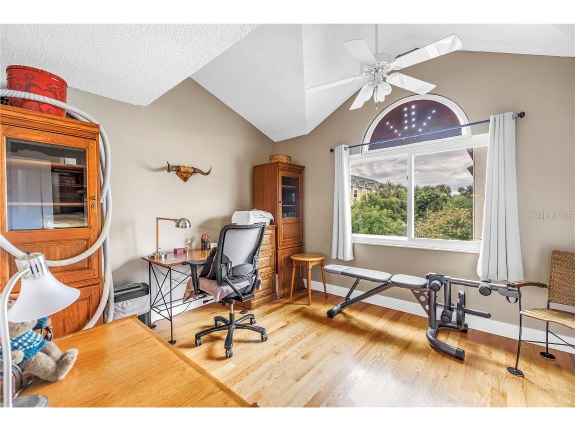 367 Madeira Circle Tierra Verde FL 33715 TB8434986 image10