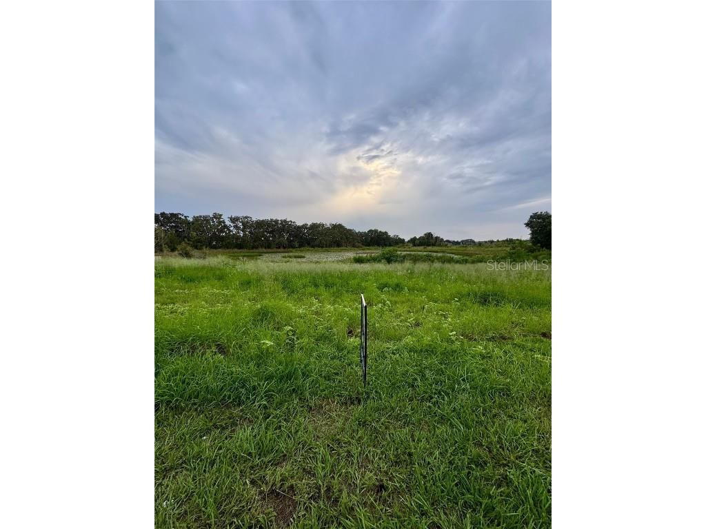 367 North Boulevard W Davenport FL 33837 O6339057 image7