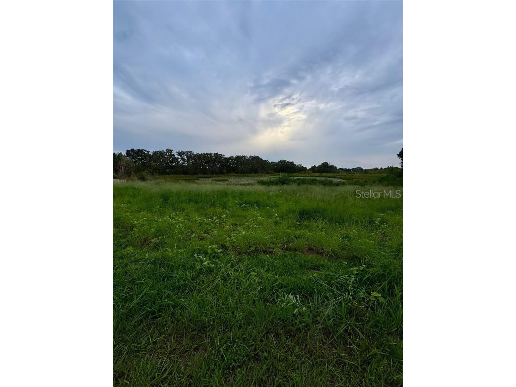 367 North Boulevard W Davenport FL 33837 O6339057 image8