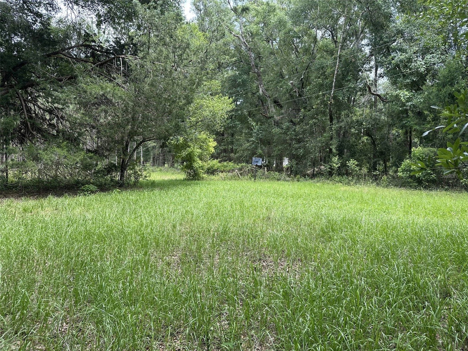 367 SW Kinard Court Fort White FL 32038 OM726838 image1