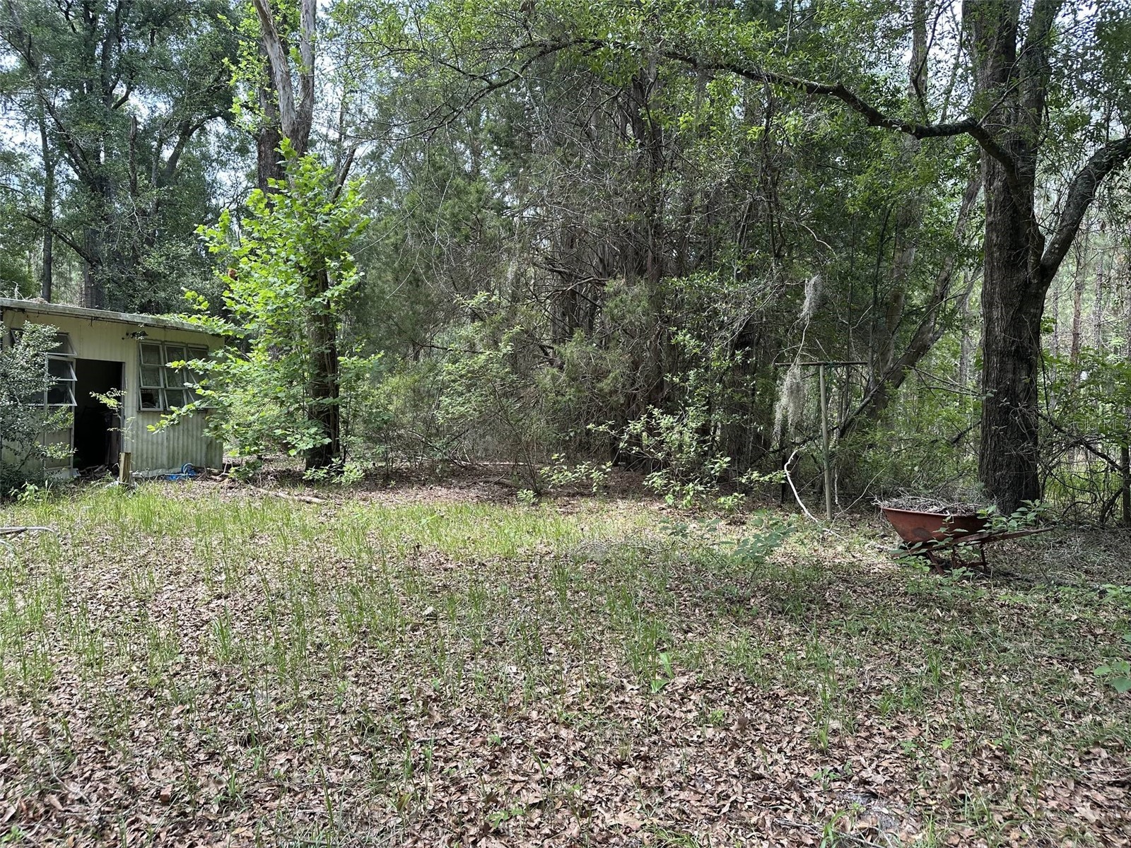 367 SW Kinard Court Fort White FL 32038 OM726838 image12