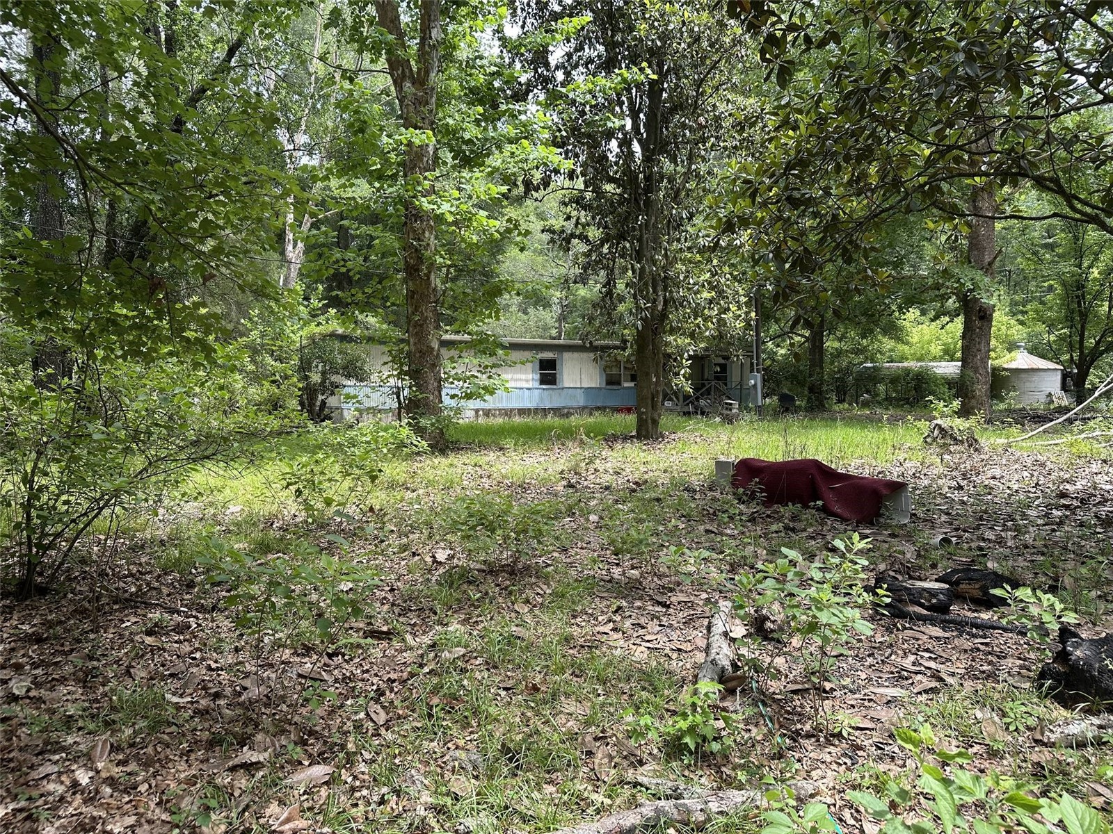 367 SW Kinard Court Fort White FL 32038 OM726838 image13