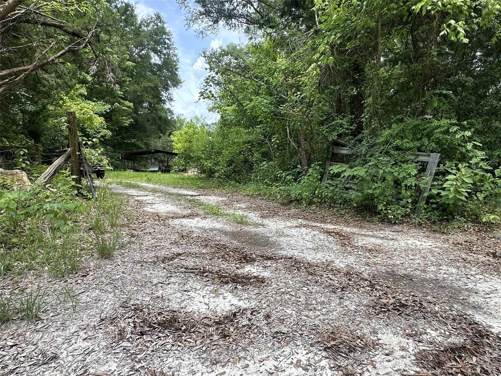 367 SW Kinard Court Fort White FL 32038 OM726838 image16