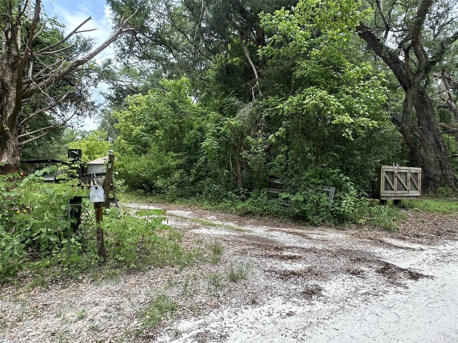 367 SW Kinard Court Fort White FL 32038 OM726838 image17