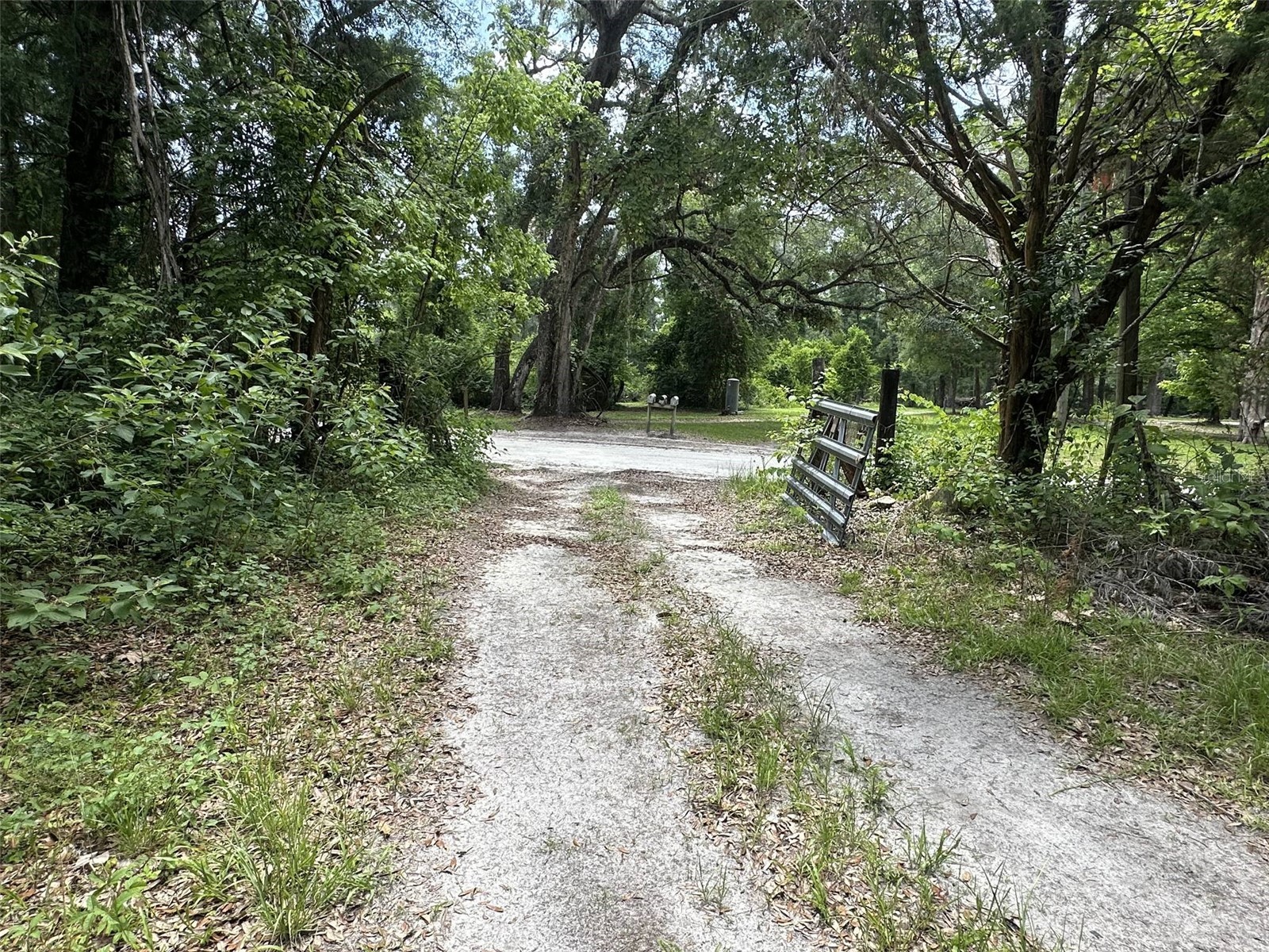 367 SW Kinard Court Fort White FL 32038 OM726838 image7