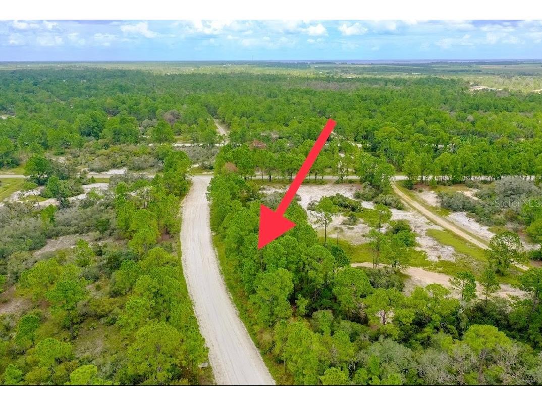 367 Wildwood Drive Lake Placid FL 33852 O6154163 image1