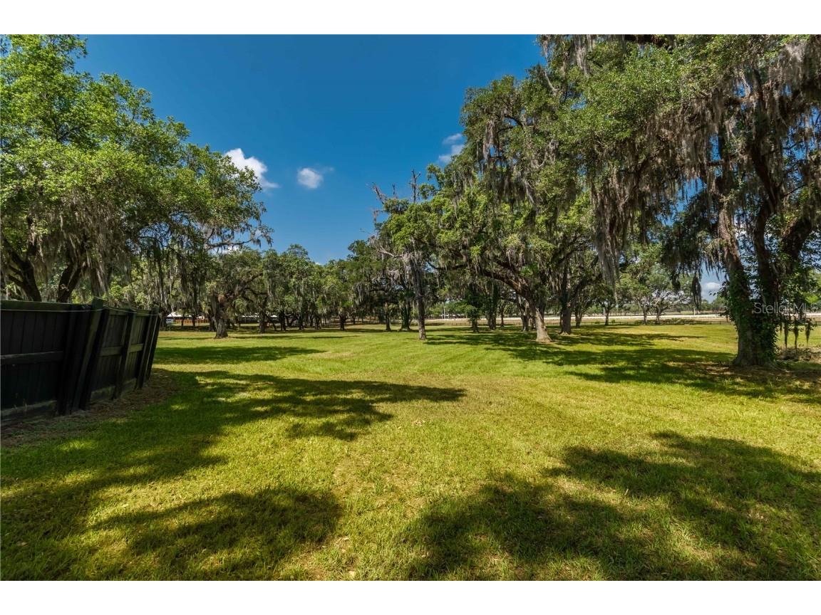 3670 SE 148th Terrace Morriston FL 32668 OM678297 image17