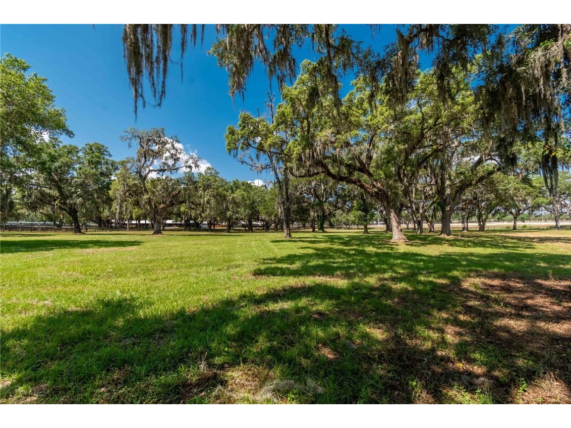 3670 SE 148th Terrace Morriston FL 32668 OM678297 image19