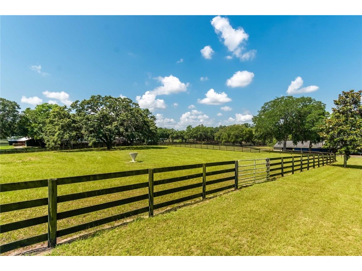 3670 SE 148th Terrace Morriston FL 32668 OM678297 image22