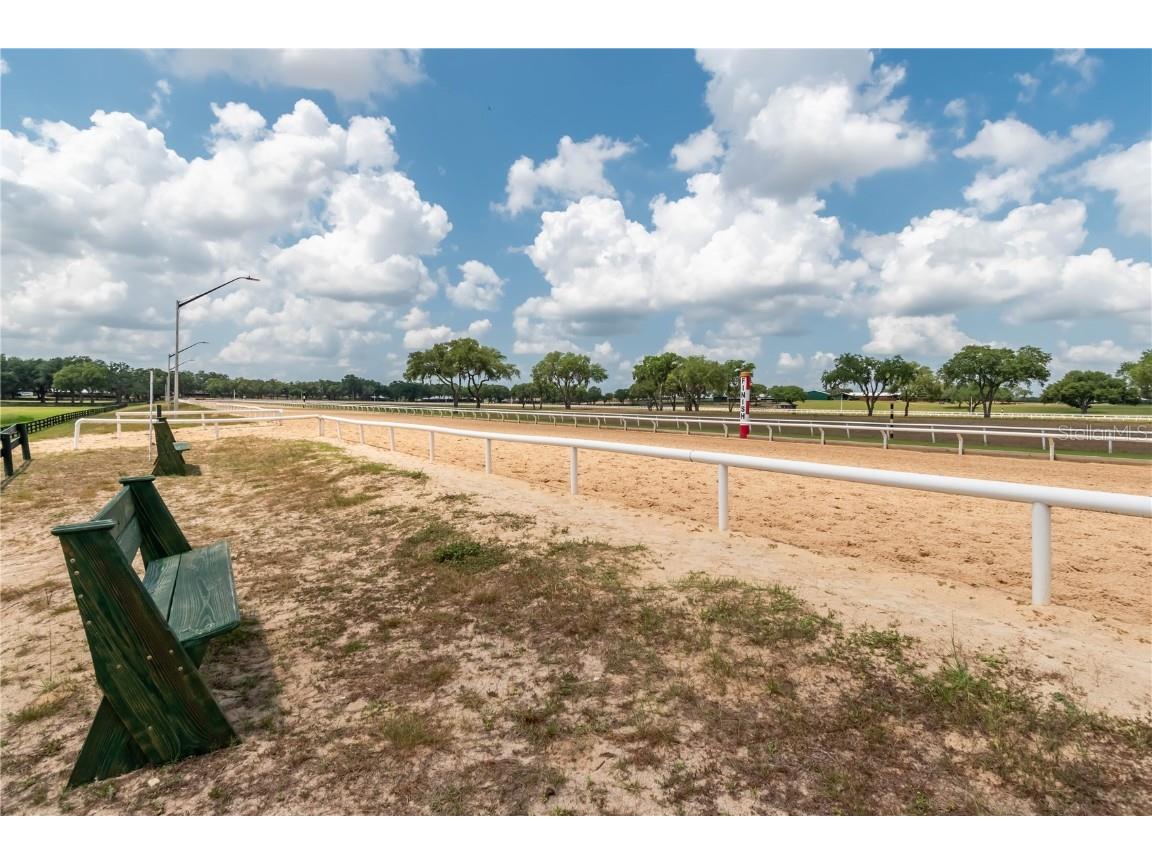 3670 SE 148th Terrace Morriston FL 32668 OM678297 image37