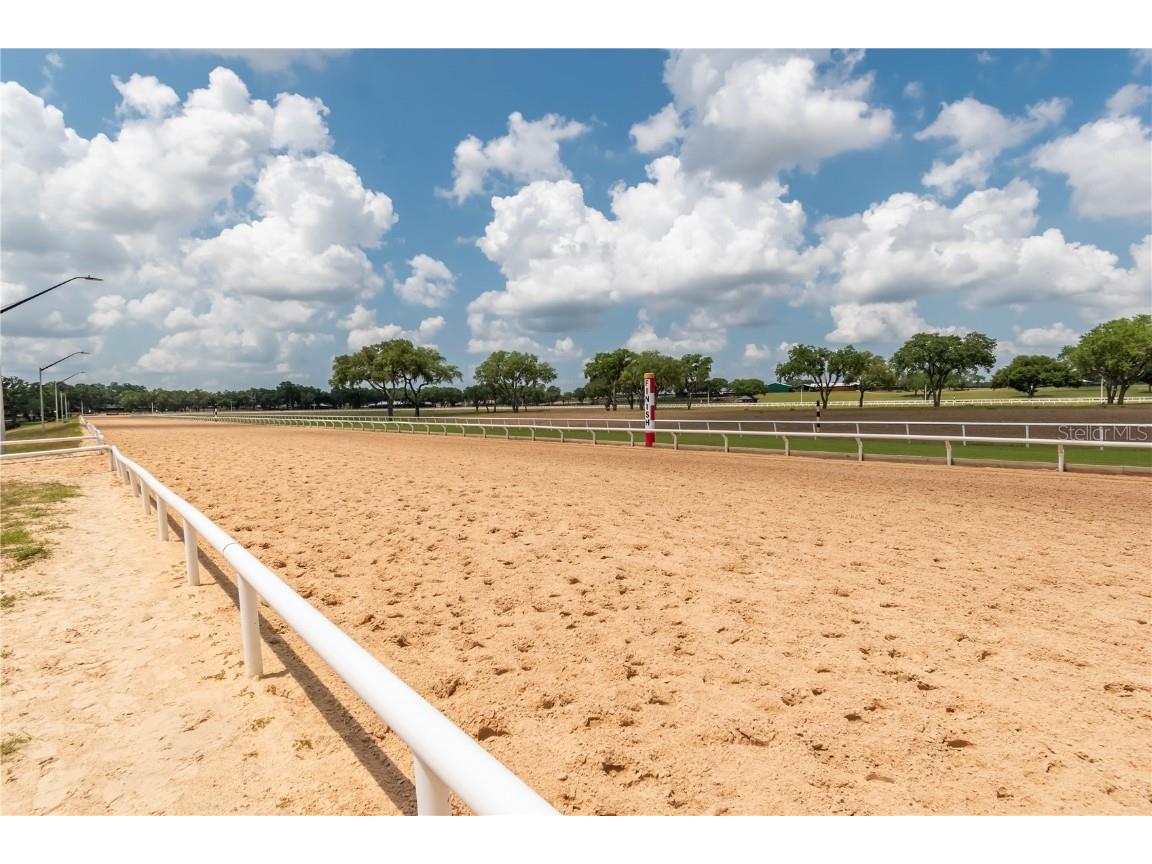 3670 SE 148th Terrace Morriston FL 32668 OM678297 image38