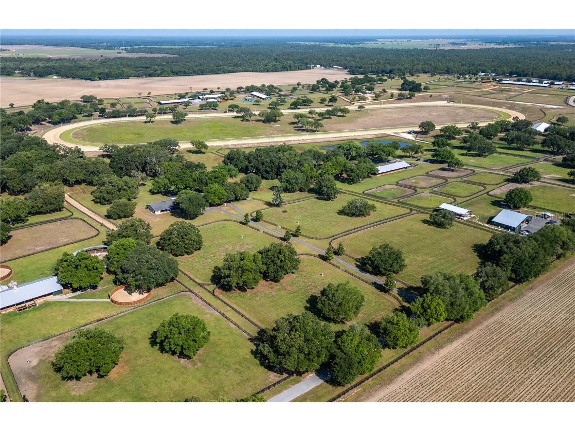 3670 SE 148th Terrace Morriston FL 32668 OM678297 image44