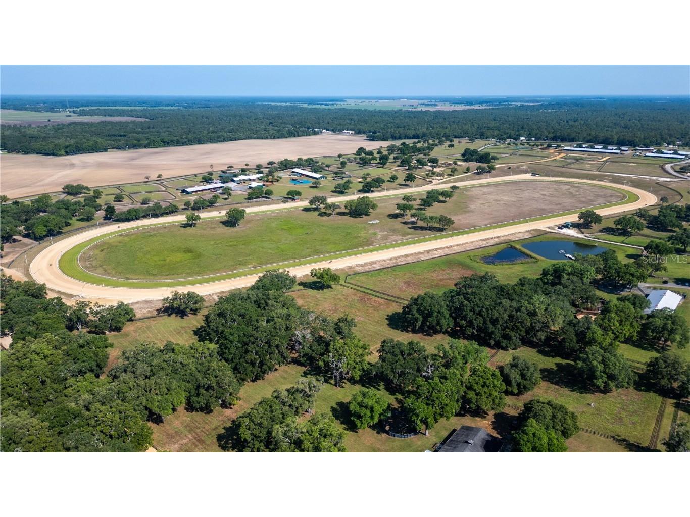 3670 SE 148th Terrace Morriston FL 32668 OM678297 image45