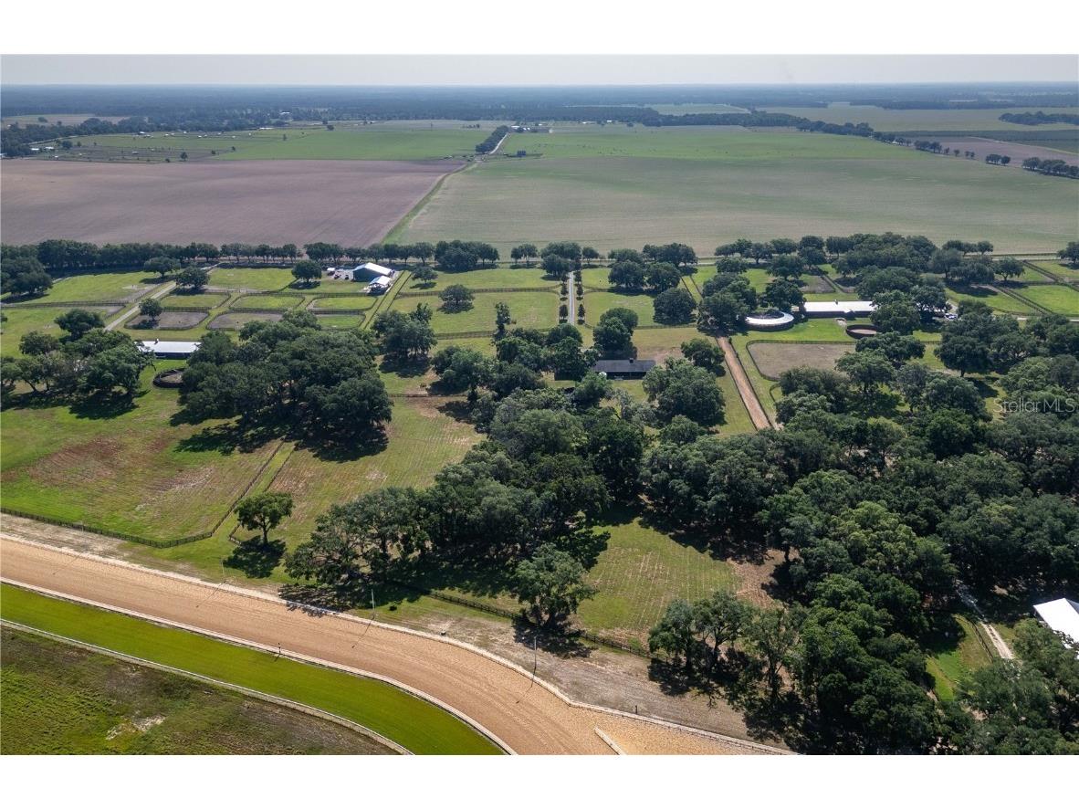 3670 SE 148th Terrace Morriston FL 32668 OM678297 image47