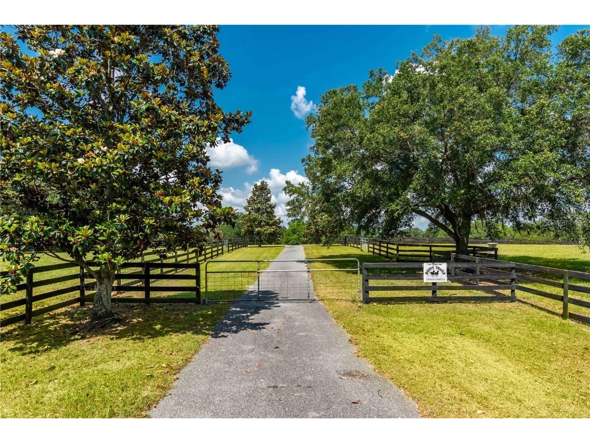 3670 SE 148th Terrace Morriston FL 32668 OM678297 image5