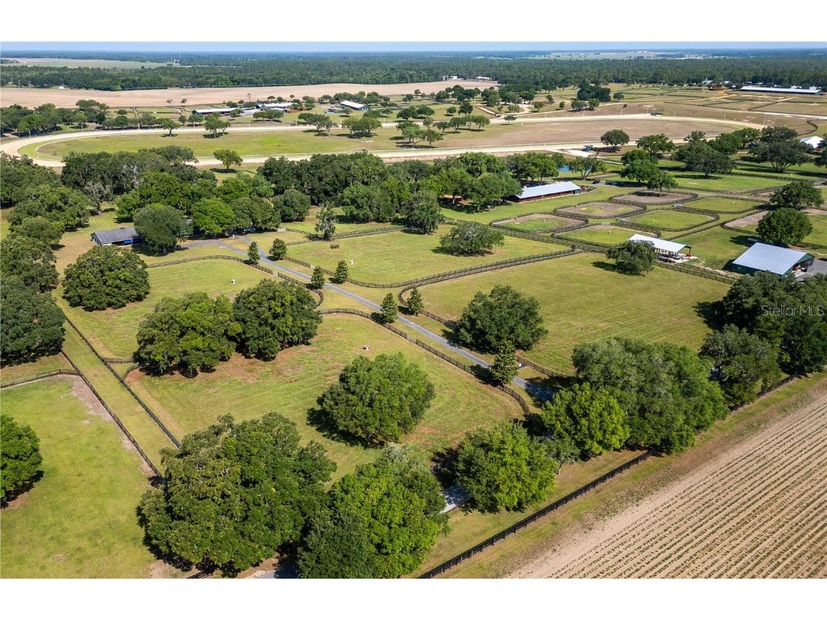 3670 SE 148th Terrace Morriston FL 32668 OM678297 image53