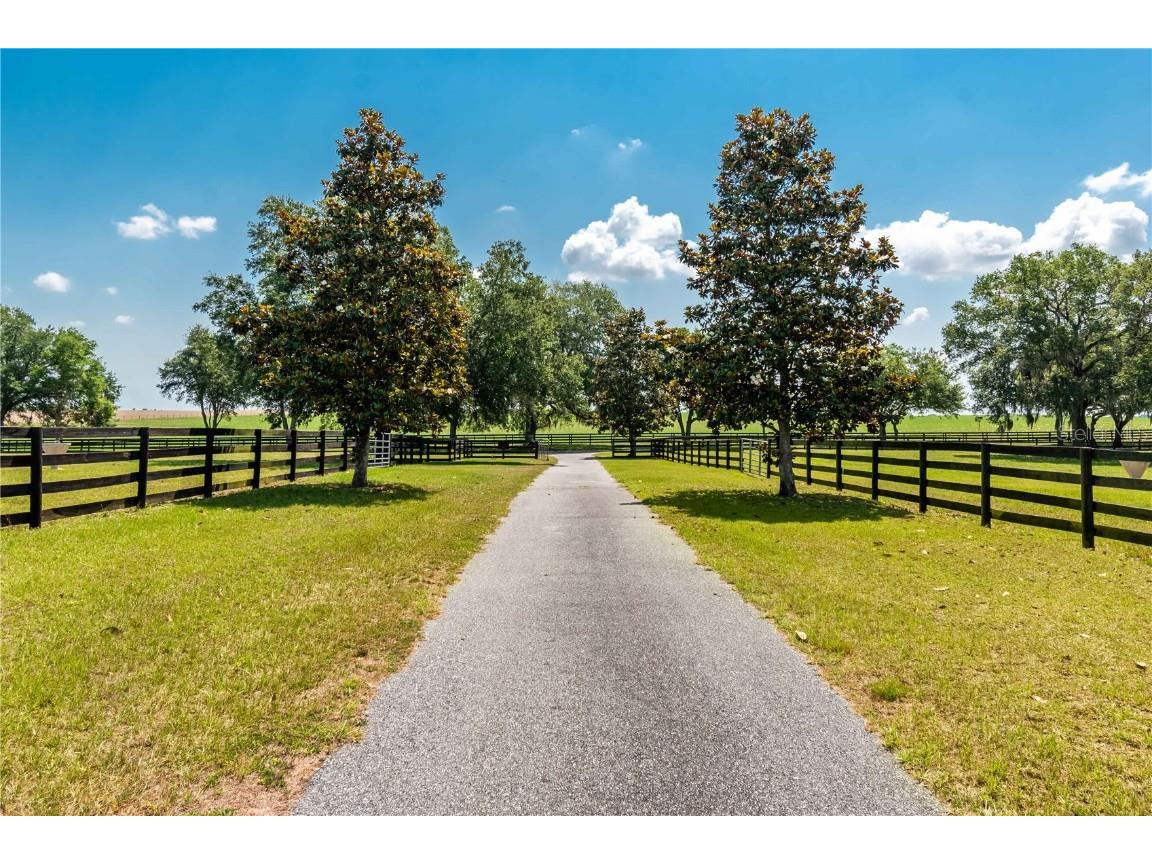 3670 SE 148th Terrace Morriston FL 32668 OM678297 image6