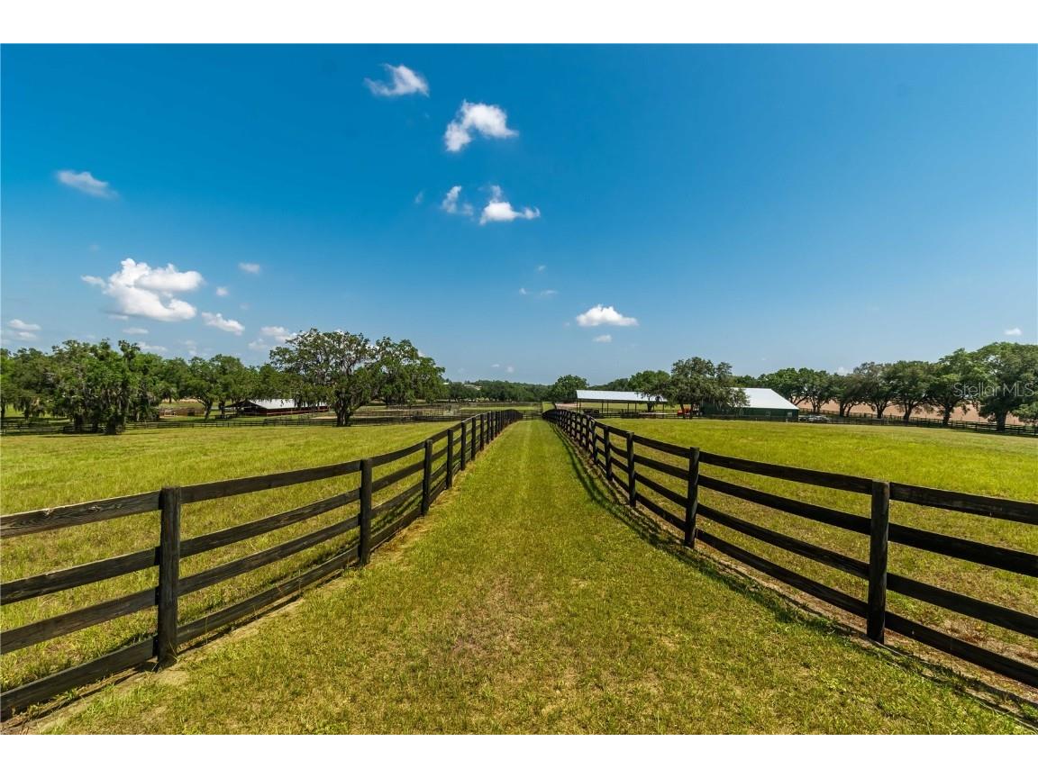 3670 SE 148th Terrace Morriston FL 32668 OM678297 image7