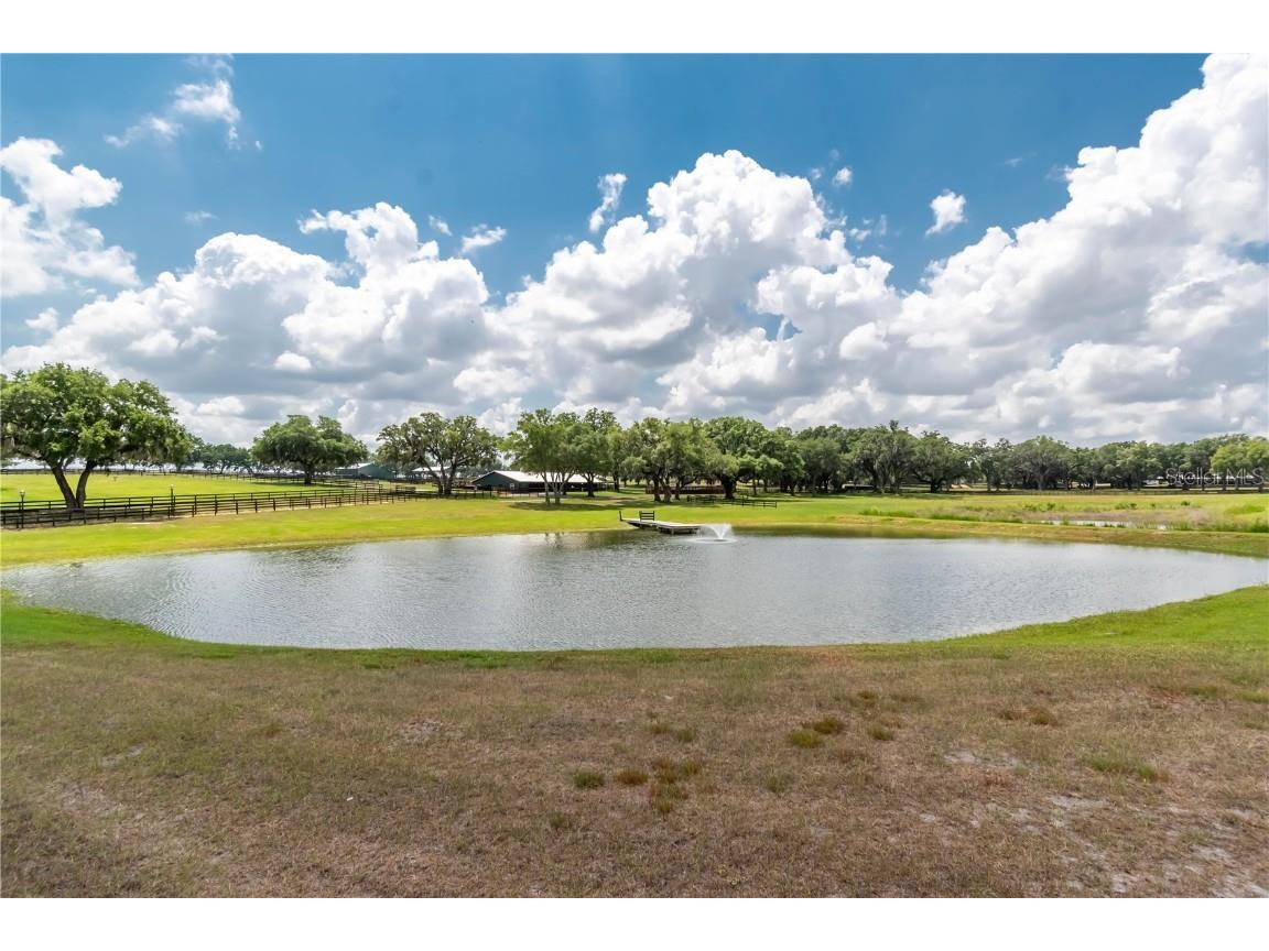 3670 SE 148th Terrace Morriston FL 32668 OM678297 image8