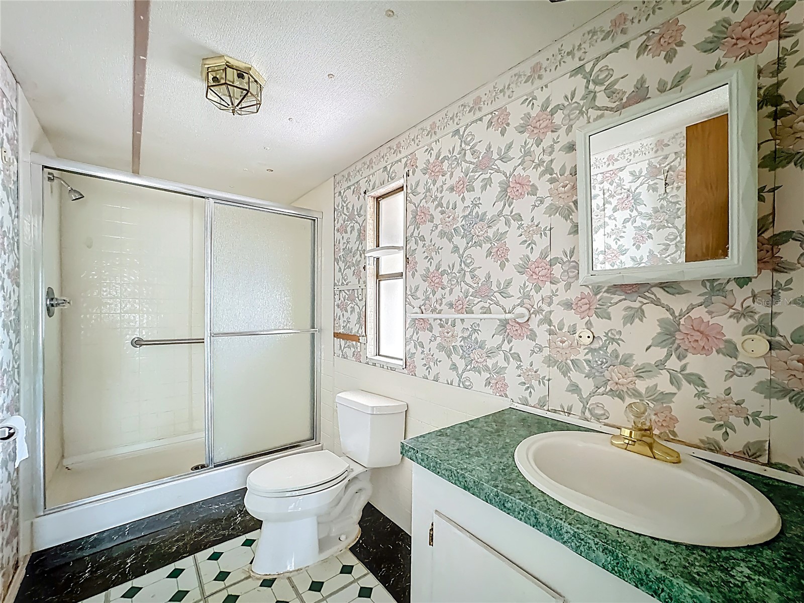 36700 Daisy Lane Fruitland Park FL 34731 A4684652 image10
