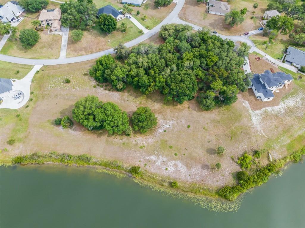 36701 Barrington Drive Eustis FL 32736 O6201678 image2