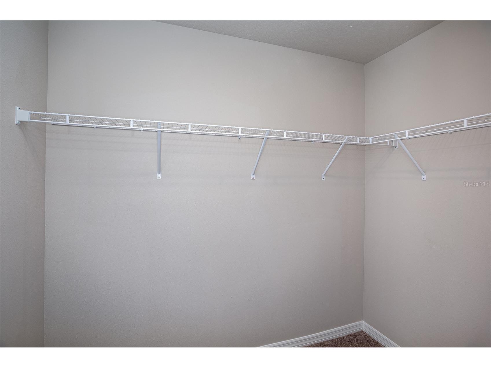 36701 Sagemoor Drive Zephyrhills FL 33541 TB8468054 image19