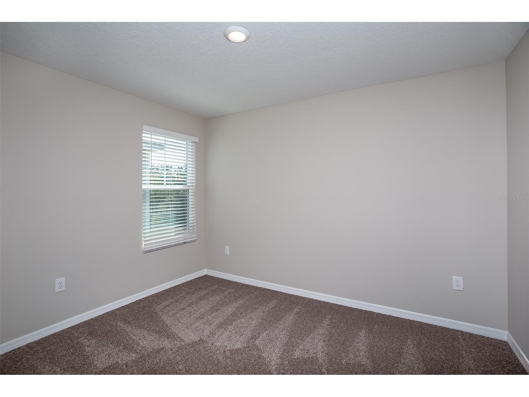 36701 Sagemoor Drive Zephyrhills FL 33541 TB8468054 image23