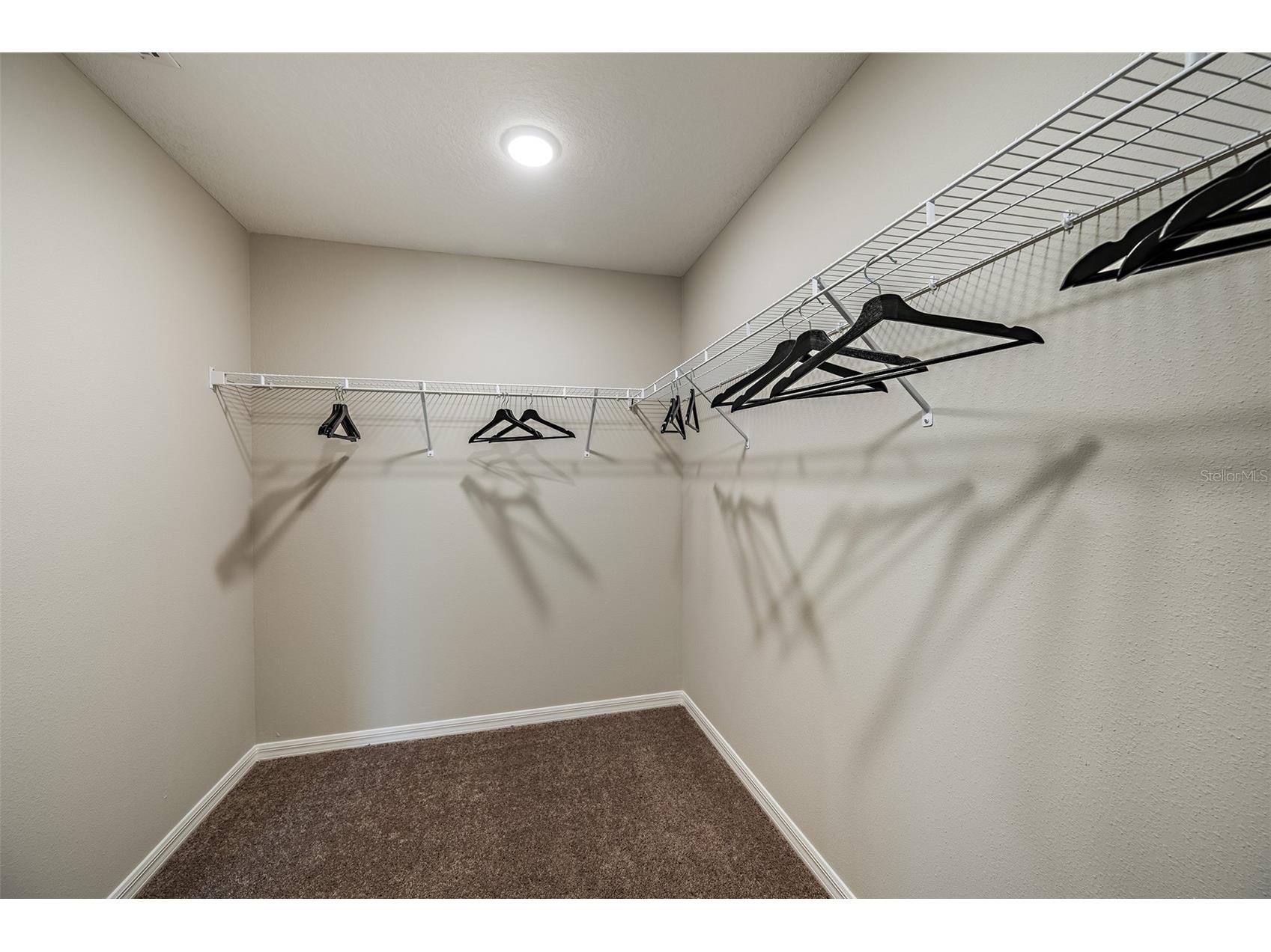 36702 Thornhedge Drive Zephyrhills FL 33541 TB8482421 image13