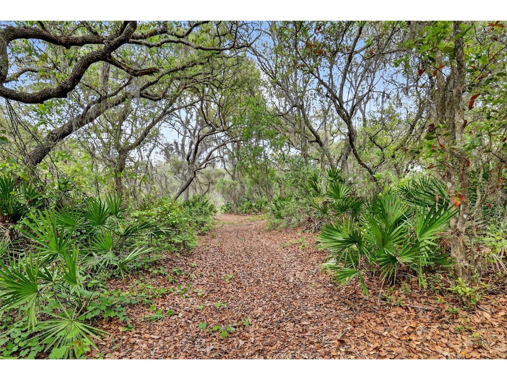 36707 County Road 439 Eustis FL 32736 G5110276 image23