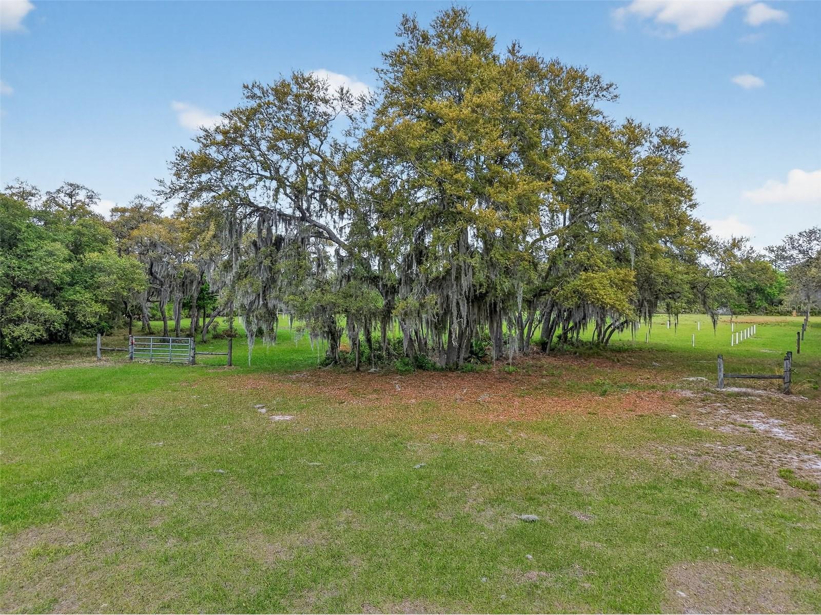 36707 County Road 439 Eustis FL 32736 G5110276 image27