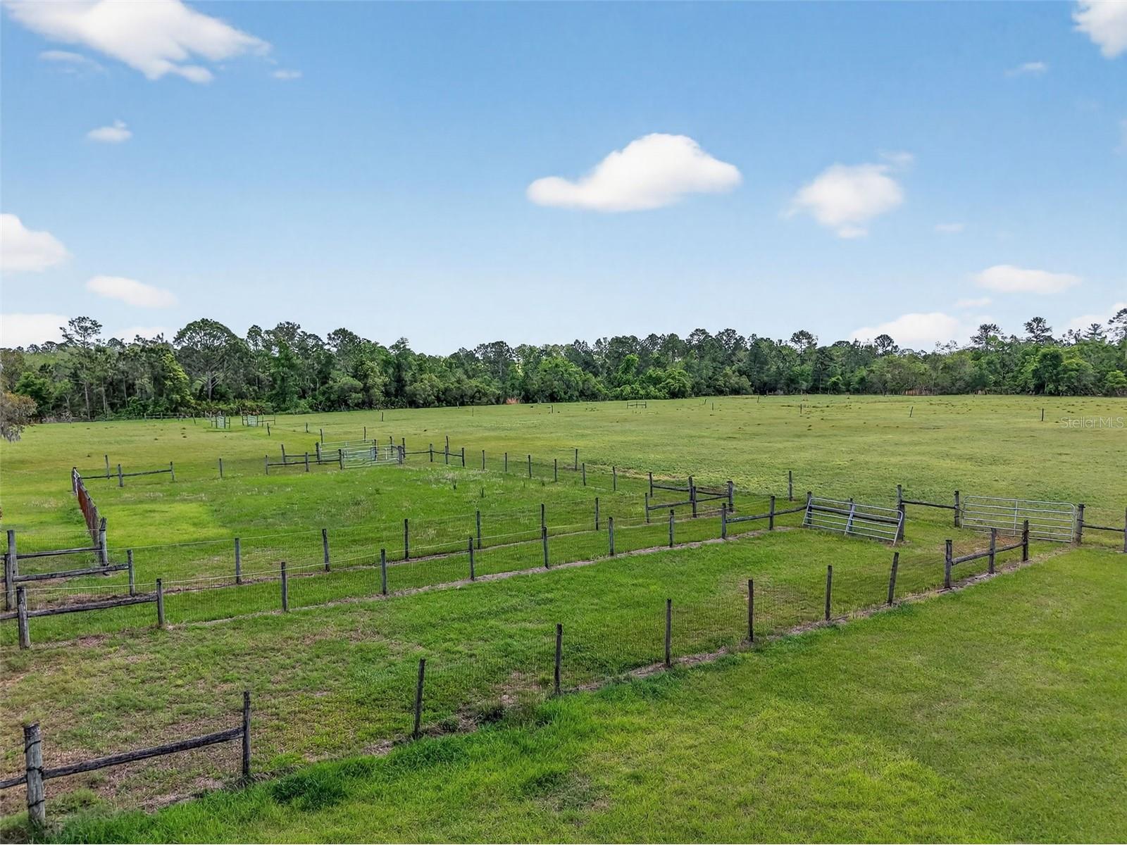 36707 County Road 439 Eustis FL 32736 G5110276 image28