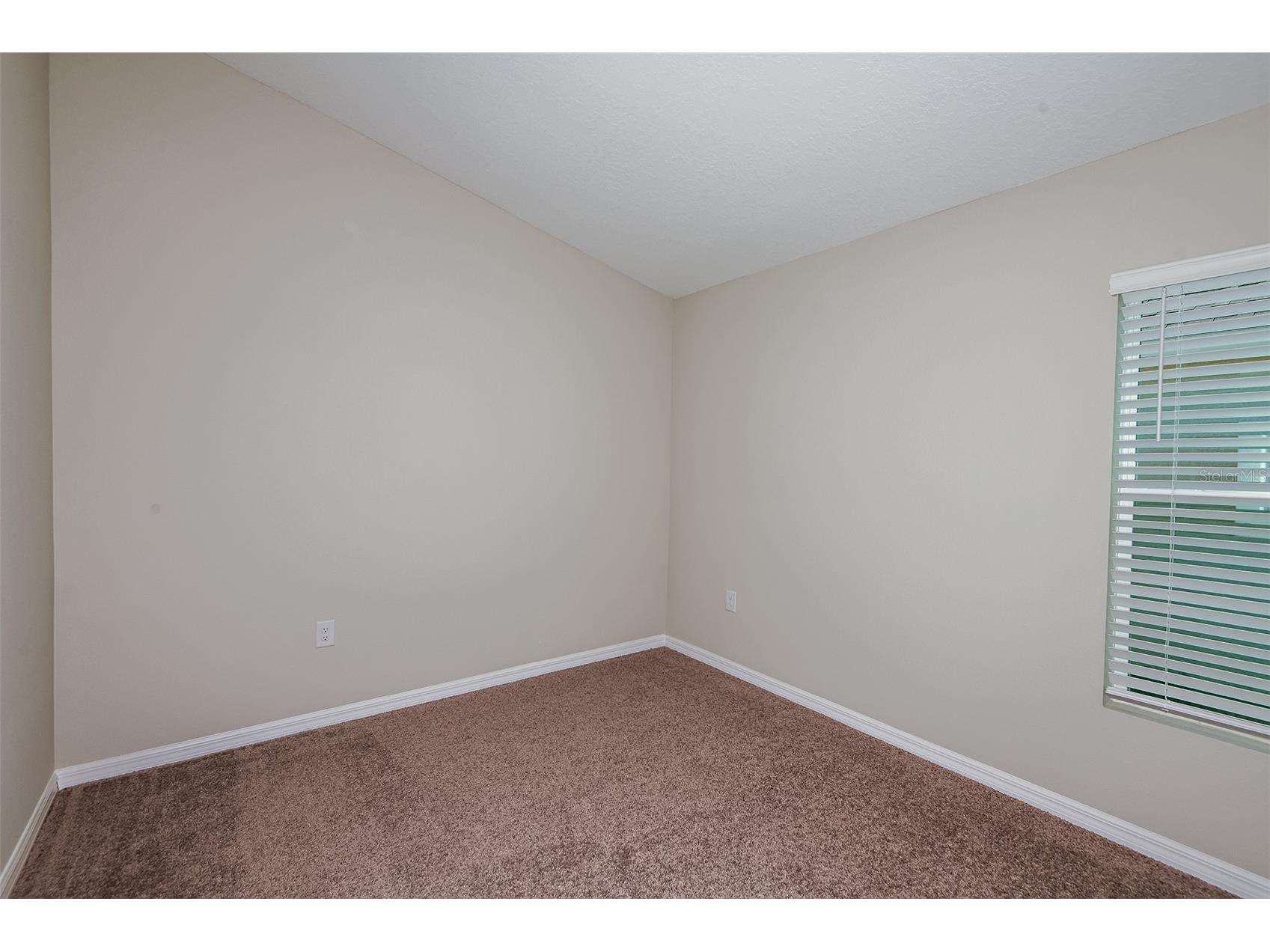 36709 Sagemoor Drive Zephyrhills FL 33541 TB8468141 image23