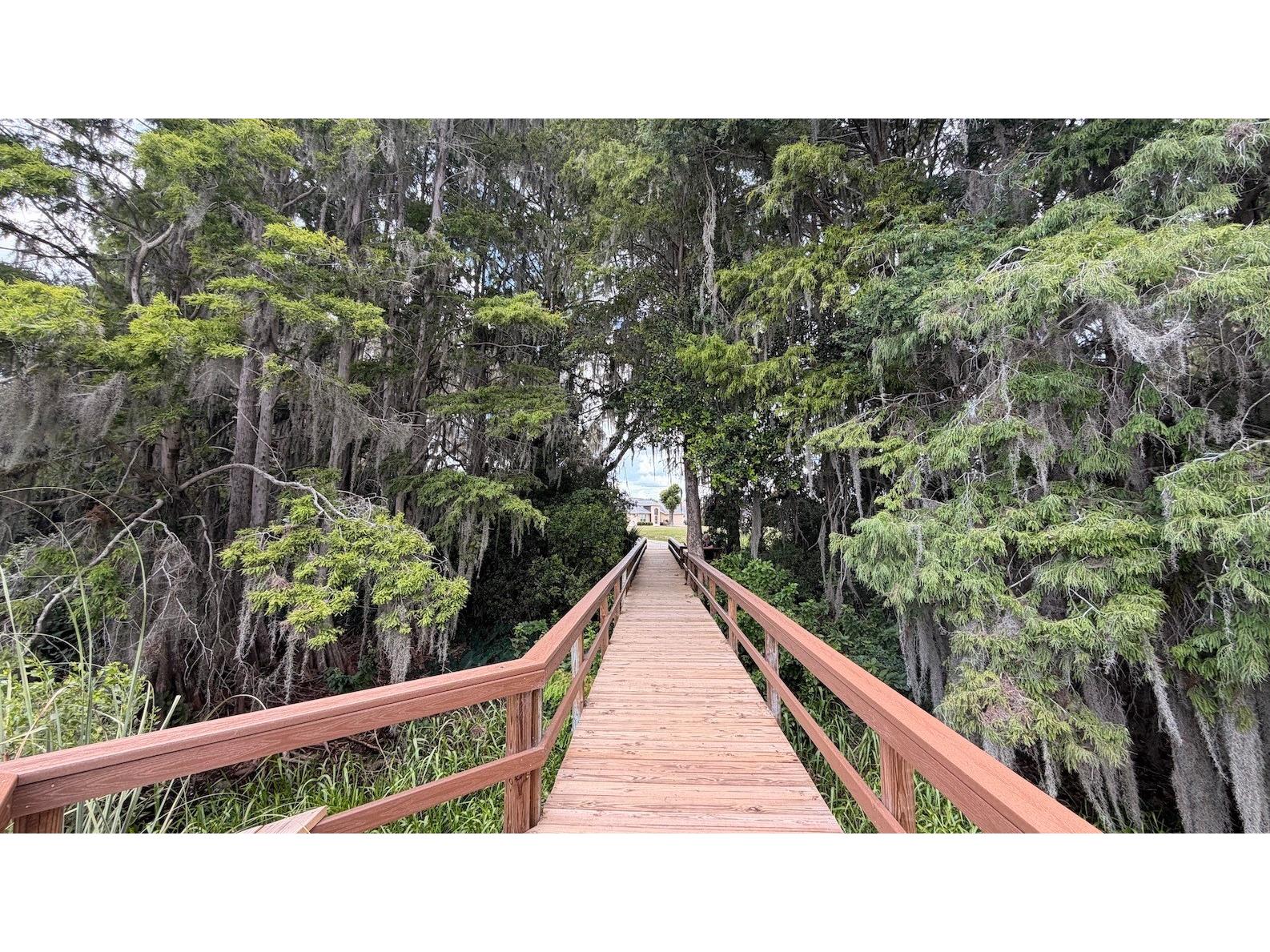 3671 E Arbor Lakes Drive Hernando FL 34442 TB8520842 image33